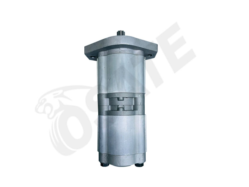 DOUBLE HEAR PUMP