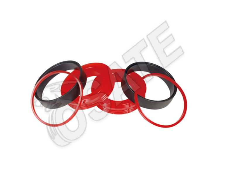 DELIVERY PISTON SET