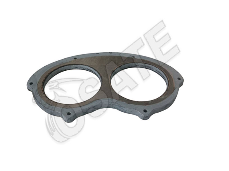 SPECTACLE WEAR PLATE